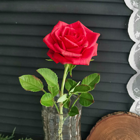 Роза красная из холодного фарфора