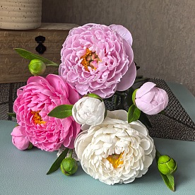 Пионы из холодного фарфора